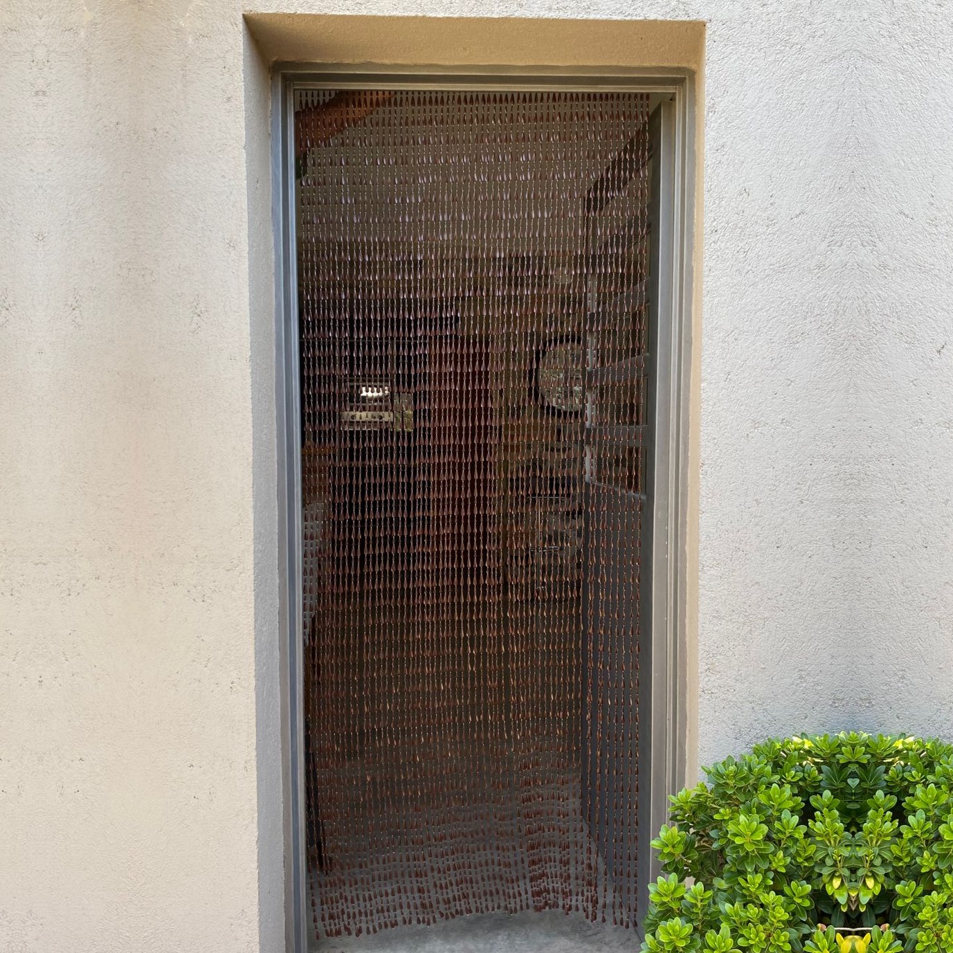 00509